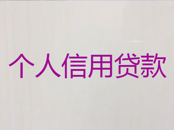 海口信用贷款-正规贷款公司